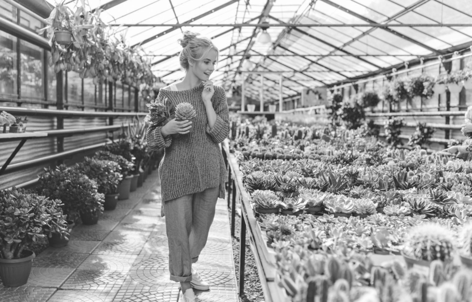 Professional florist carefully arranging fresh flowers for delivery
